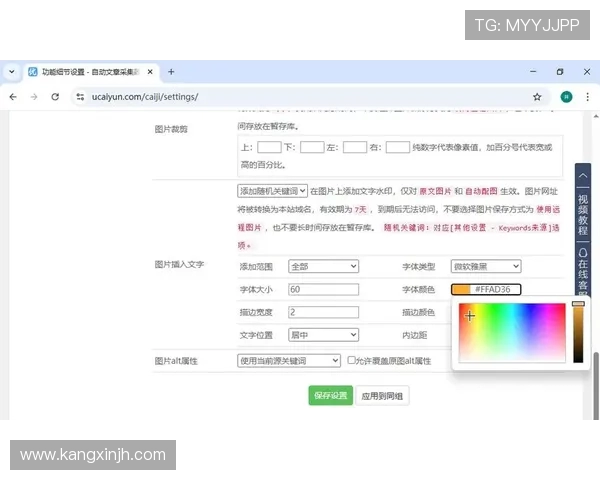 55vs迅雷下载对比分析选择最适合你的下载工具提升效率